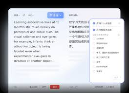 有道翻译词典的“对话模式”支持街头布道吗?