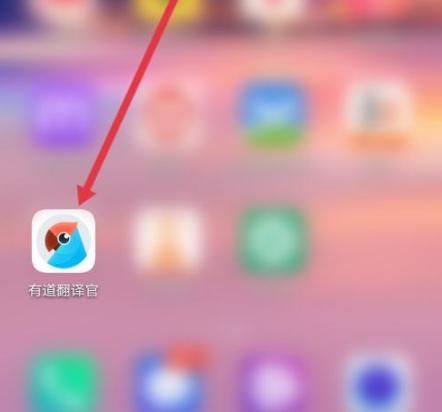 怎样用有道翻译词典快速看懂英文版的种植日历？